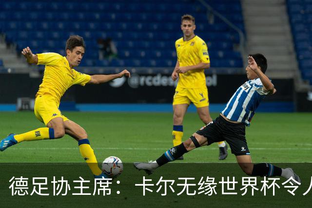 德足协主席：卡尔无缘世界杯令人感伤，送别时有人流下了眼泪
