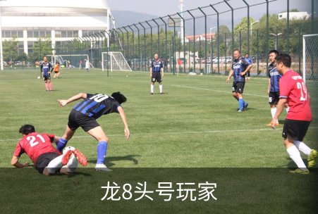 龙8头号玩家品牌故事